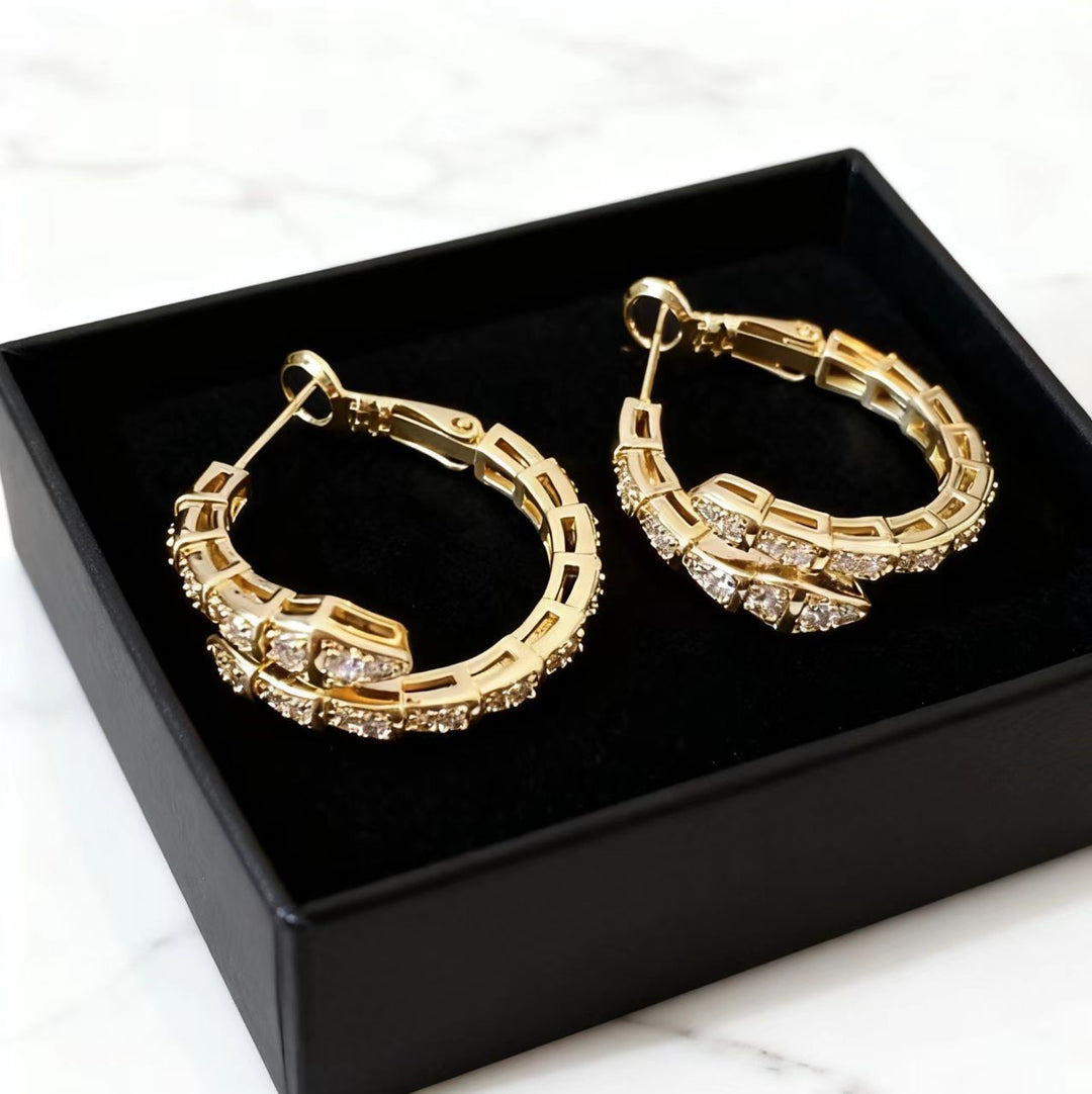 Assorted Elegant Earrings Collection, Multi Style Sparkling Statement Earrings for Women